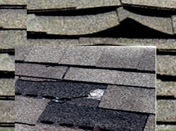 curling shingles - warped shingles - buckling shingles